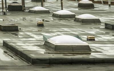 What to do if you think your commercial building has a roof leak?