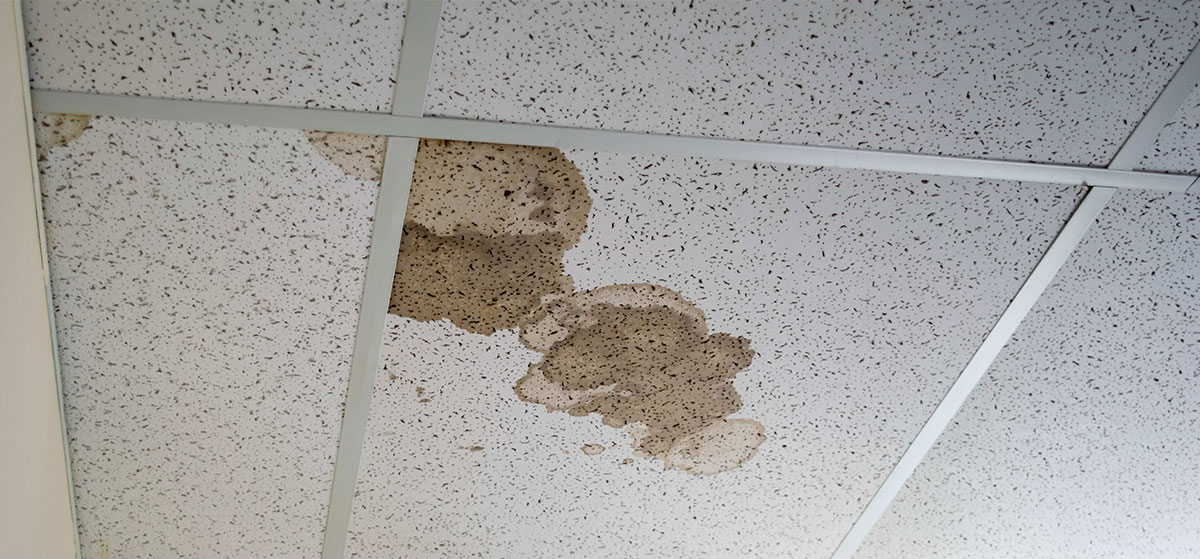 water stain on office ceiling